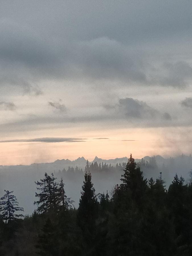 Terre De Sapins - Gites Nature Haut De Gamme Avec Sauna Au Coeur Du Lac Blanc 오르베 외부 사진
