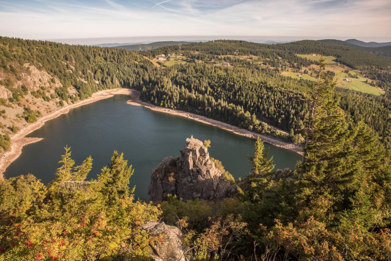 Terre De Sapins - Gites Nature Haut De Gamme Avec Sauna Au Coeur Du Lac Blanc 오르베 외부 사진